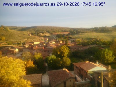 Recorre hacia atrás las últimas 24 horas
