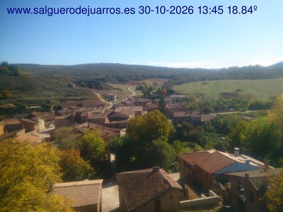 Recorre hacia atrás las últimas 24 horas
