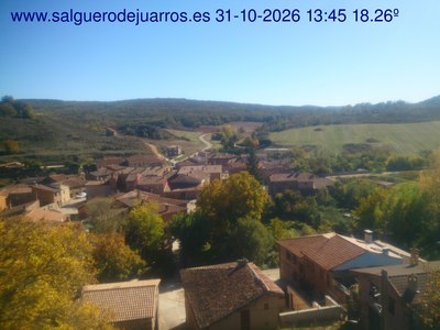 Recorre hacia atrás las últimas 24 horas
