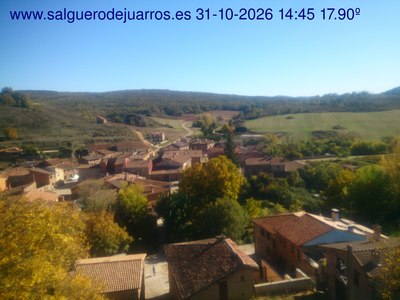 Recorre hacia atrás las últimas 24 horas
