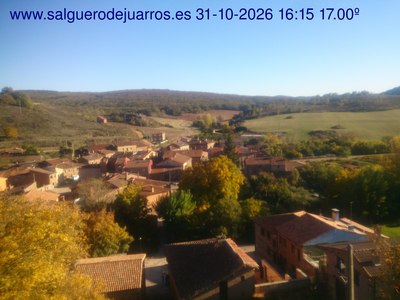 Recorre hacia atrás las últimas 24 horas
