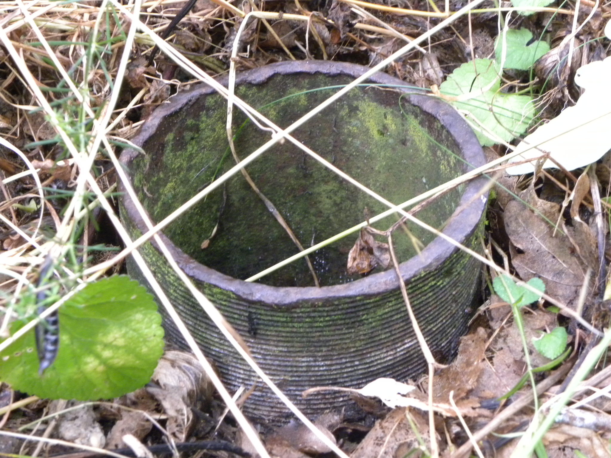 Boca de la tuber&iacute;a de sondeo